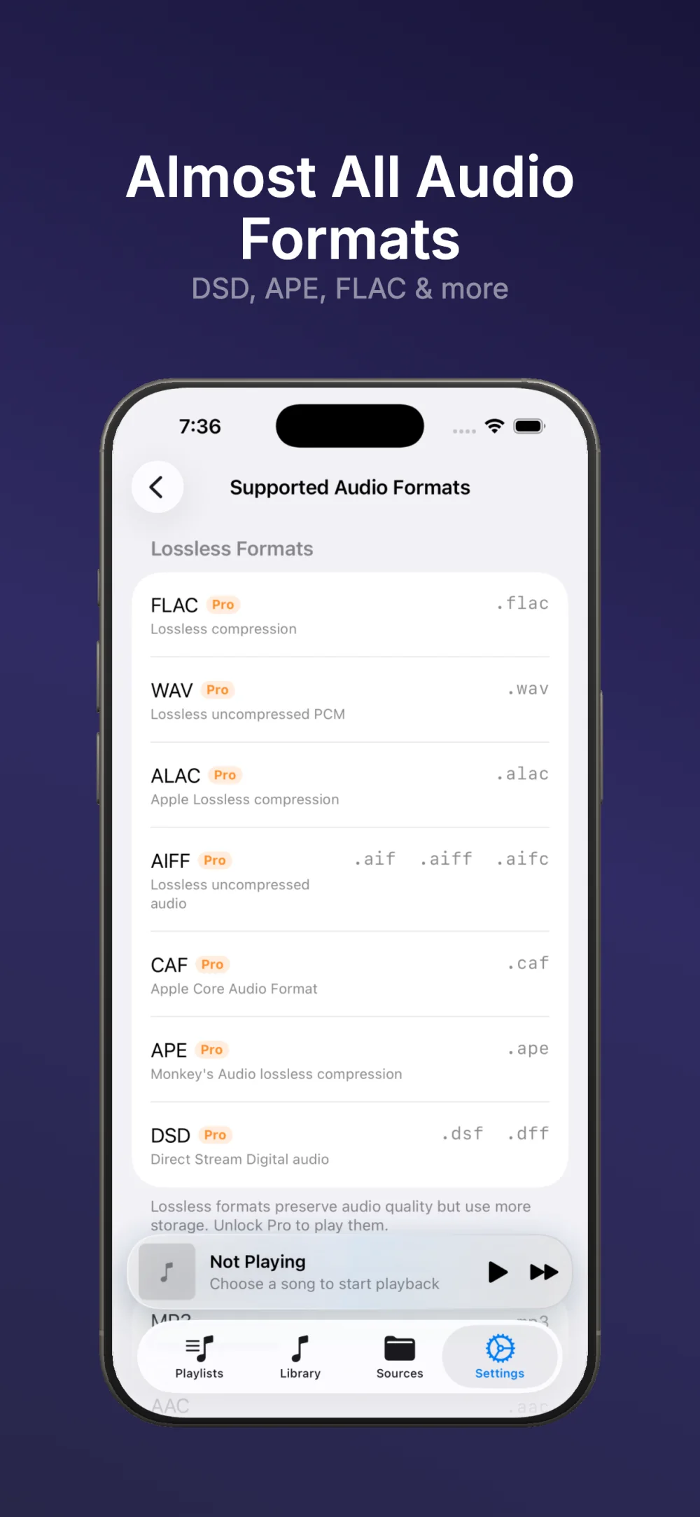 Supported audio formats in NetMusic including FLAC, APE and DSD